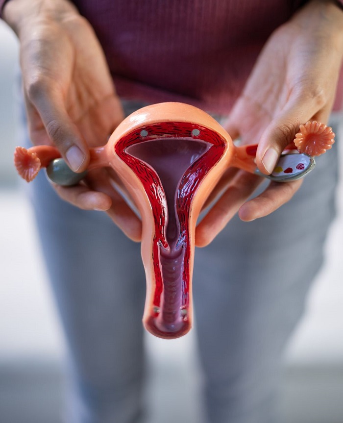 AVS PLASTIC SURGERY AND SKIN CLINIC Pudukkottai